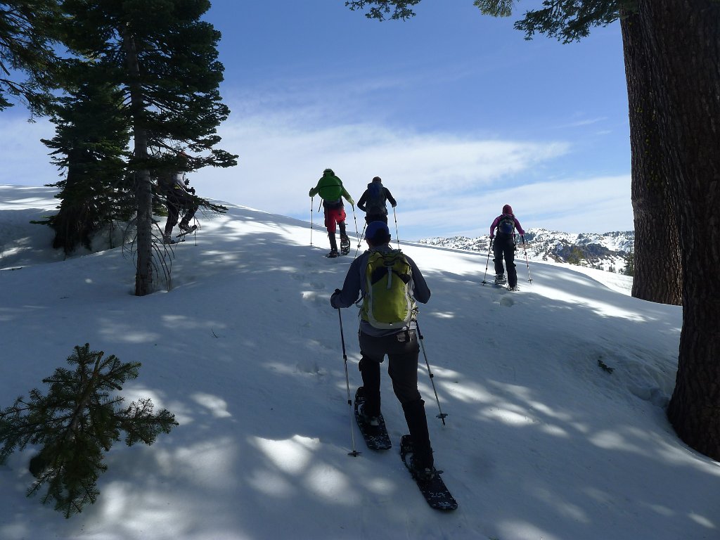 Lassen 048